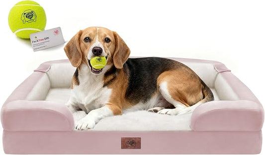 Orthopedic Dog Beds for Large Medium Dogs, Big Waterproof Memory Foam Pet Couch Bed with Removable Washable Cover, Tennis Ball Toy, 36x27