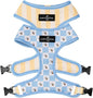 Lucy & Co. Bumbling Around Reversible Dog Harness, Adjustable Comfort Fit with Dual Leash Attachments, Small