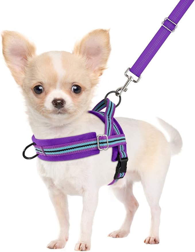 SlowTon No Pull Small Dog Harness and Leash Set, Puppy Soft Vest Harness Neck & Chest Adjustable, Reflective Lightweight Harness & Anti-Twist Pet Lead Combo for Small Medium Dogs (PU-Front Clip, XXS)