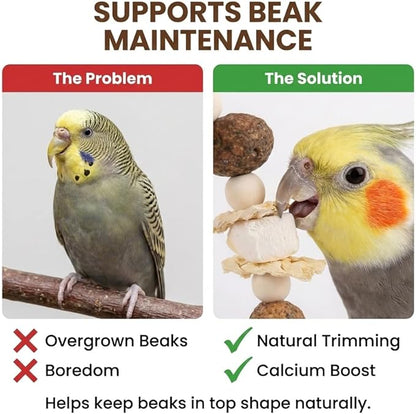 Bird Swing Toy with Cuttlebone & Corn Husks - Hanging Parrot Perch with Chewing Pine Cones - Cage Shredding Accessories for Cockatiels Parakeets Conures Budgies