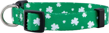 Native Pup St Patricks Dog Collar- Saint Patrick Green Shamrock Pet Collars- St. Patrick’s Lucky Irish- Cute Boy Girl Puppy Gift- Adjustable for Small, Medium, Large Breeds (Lucky Shamrock, Medium)