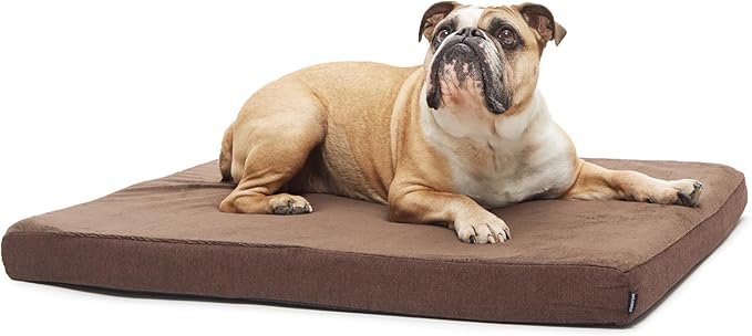 Barkbox Orthopedic Dog Bed with Memory Foam, Premium Comfort for Dogs and Puppies, Dog Bed for Joint Relief and Restful Sleep, Durable and Easy to Clean - Espresso, Medium