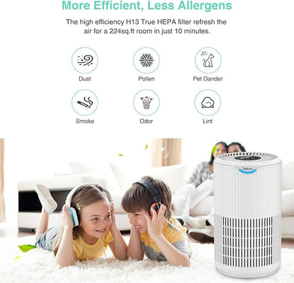 Tailulu Air Purifier Replacement Filter for D09 Air Cleaner, 3-in-1 True H13 HEPA Filter, 1 Pack