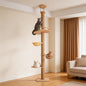 Floor to Ceiling Cat Tree, Adjustable Height (55-115in), 4 Level Tall Cat Tree Tower, Cats Activity Center with Scratching Post, Jump Platform, Hammock & Capsule, Space-Saving Design for Indoor Cats