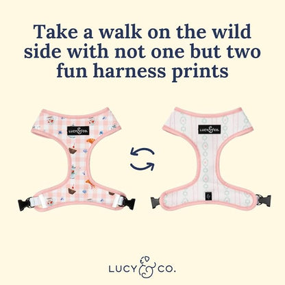 Lucy & Co. Sipping Slowly Reversible Dog Harness, Adjustable Comfort Fit with Dual Leash Attachments, X-Small