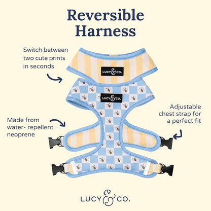 Lucy & Co. Bumbling Around Reversible Dog Harness, Adjustable Comfort Fit with Dual Leash Attachments, Medium