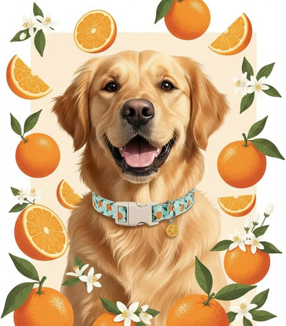 Dog Collar, Spring Summer Dog Collar with Orange Print and Charm, Cute Spring Summer Fruit Collar with Soft & Breathable Fabric, Adjustable Pet Collar for Small Dogs