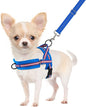 SlowTon No Pull Small Dog Harness and Leash Set, Puppy Soft Vest Harness Neck & Chest Adjustable, Reflective Lightweight Harness & Anti-Twist Pet Lead Combo for Small Medium Dogs (DB-Front Clip, S)