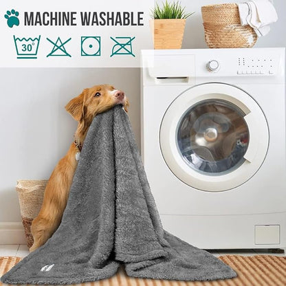 PetAmi Dog Blanket for Small Medium Dogs Grey, Fluffy Soft Puppy Blanket, Sherpa Fleece Cat Blanket for Kitten Doggie, Calming Pet Blanket Throw for Couch Sofa Bed Washable, Medium 29x40
