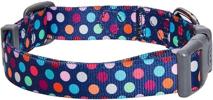 Blueberry Pet Essentials Rainbow Polka Dots Adjustable Dog Collar, Small, Neck 12"-16"