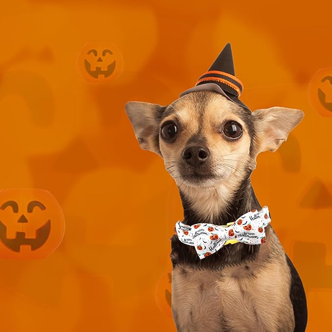 Halloween Dog Collar, Pet Collar Bow Pumpkin Pet Collar Girl Boy Holiday Collars Gift Bow Cute Soft Puppy Collars for Medium Dogs