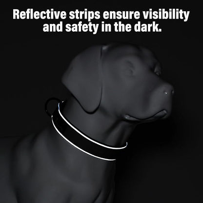 Plutus Pet Tactical Dog Collar, Reflective, Adjustable Heavy Duty Dog Collar, Soft Padded and Comfortable, for Small Medium and Large Dogs (Beige, M)