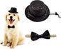 Christmas Pet Party Jazz Hat and Blingbling Bow Tie Breakaway Collar Set, Adjustable Headband for Kitten Puppy Small Dogs Cats (02 Black)