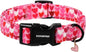 DOGWONG Valentine Dog Collar, Pink Heart Dog Collar, Girl Female Dog Collars with Strong Plastic Buckle for Small Medium Dogs,M