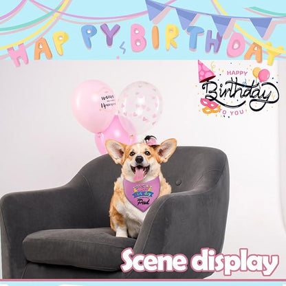 Personalized Dog Birthday Bandana, Happy Birthday Scarf with Embroidered Name,Dog Girl Boy Birthday Party Supplies Triangle Bibs,Gift for Medium Large Dogs Pets