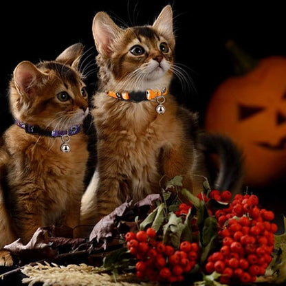 azuza 4 Pack Halloween Kitten Collars Breakaway with Bells, Adjustable Cat Collars with Safety Buckle,Adjustable from 6"-8", Skull and Crossbones,Ghosts, Spider and Pumpkin Prints