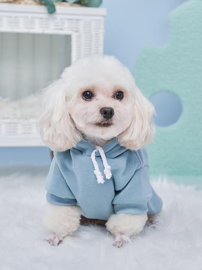 QWINEE Basic Dog Hoodie Sweatshirt Puppy Sweater Warm Cat Costumes Pet Clothes for Chihuahua Puppy Kitten Small Medium Dogs Grey and Cadet Blue Large