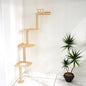 Wall-Mounted Tall Cat Tree Cat Scratching Post, Space Saving Floor to Ceiling Cat Tower, Natural Wood Wall Shelves, Corner cat Jumping Platform cat Bed,Suitable for Large Cats-63