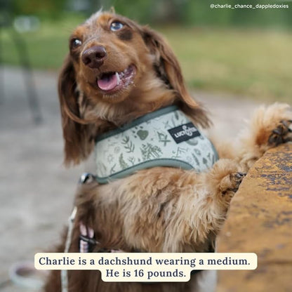 Lucy & Co. Cute Reversible Dog Harness Walking Halter - Best Designer Pet Harnesses for XS - XL Dogs - Padded Adjustable Vest for Easy Walking-X-Small-Green Outdoor Plaid