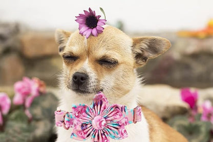 Lionheart Glory Dog Collar, Pink Dog Collar with Flower, Cute Floral Pattern Pet Collar Adjustable Dog Collar for Large Dogs