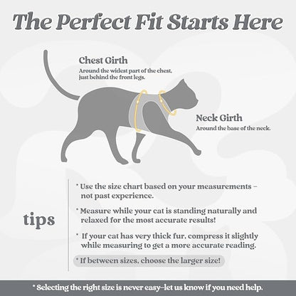rabbitgoo Cat Harness and Leash Set for Walking Escape Proof, Adjustable Soft Kittens Vest with Reflective Strip for Cats, Comfortable Outdoor Vest, Grey, L