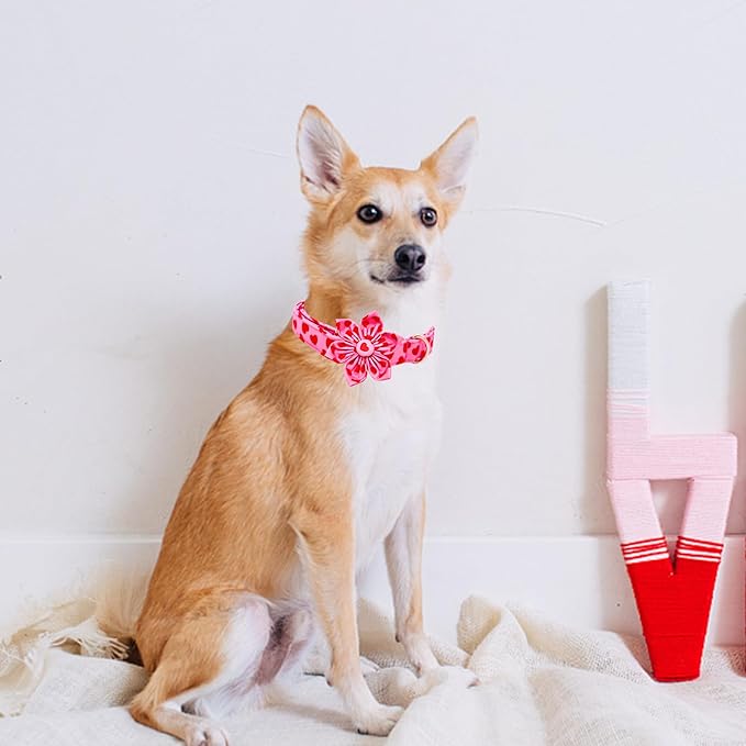 Lionheart glory Valentine's Day Dog Collar with Flower Dog Collar for Large Dogs, Soft Adjustable Hearts Dogs Collars Spring Pet Collars Flower Puppy