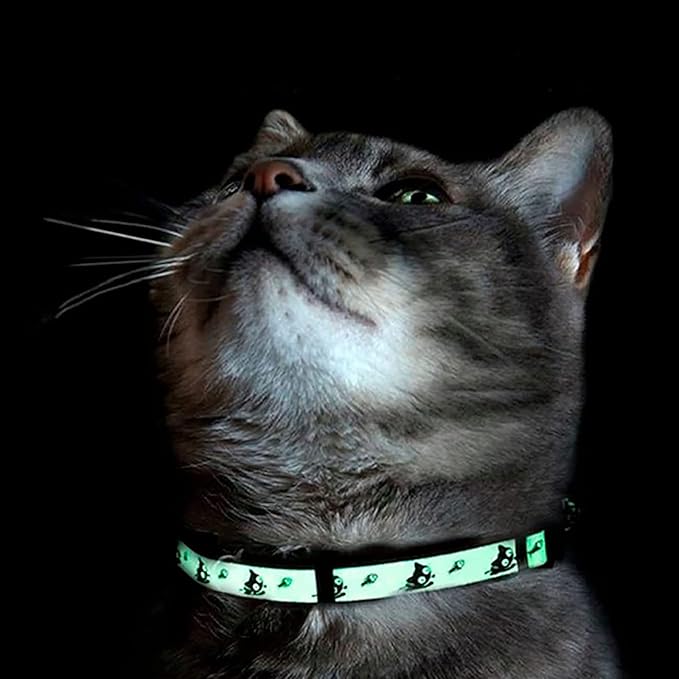 Pawtitas Glow in The Dark Cat Collar with Breakaway Safety Buckle & Bell Adjustable Kitten Collar, Black