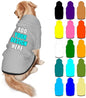 Customized Dog Hoodie with Name Logo Personalized Text Soft & Warm for Puppy Sweatshirt Hooded for Small Medium Large Dogs Girl/Boy Cats/Kitten, Silver, XXL