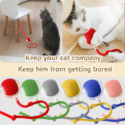 Interactive Cat Toys for Indoor Cats, Agility Move Cat Balls,Motion Activated Cat Balls, Cat Toys for Bored Indoor Cats (Pink)