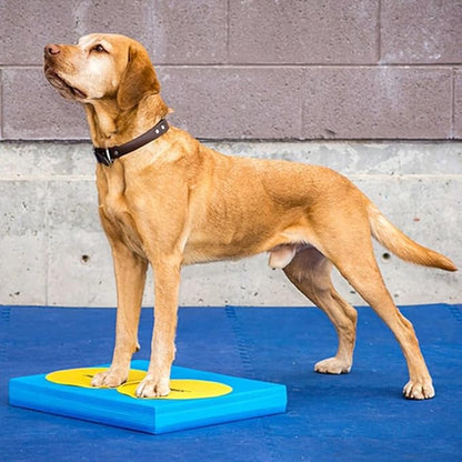 FitPAWS Targets