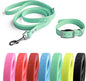 4.2FT Dog Collar and Leash Set, PVC Waterproof Adjustable Odor Proof Pet Collars Leashes, Easy to Clean, Surface 3D Cube Effect, Dog Leash for Small Dogs, Light Green