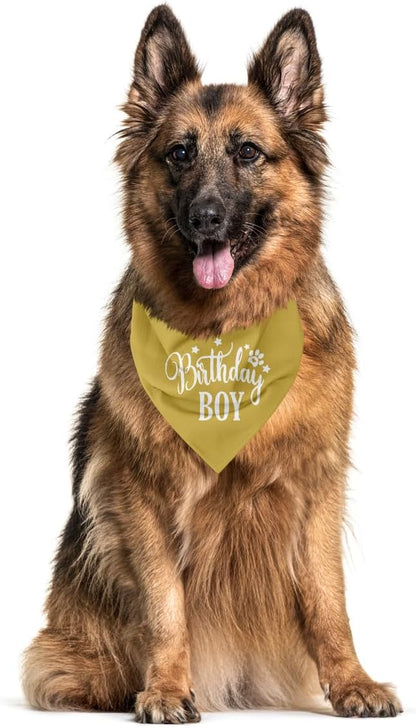 Birthday Boy Dog Bandanas, Dog Birthday Bandana, Birthday Bandana for Small Medium Dog, Pet Accessories for Dog, Happy Birthday Dog Bandana for Boys, Pet Scarf (B17)