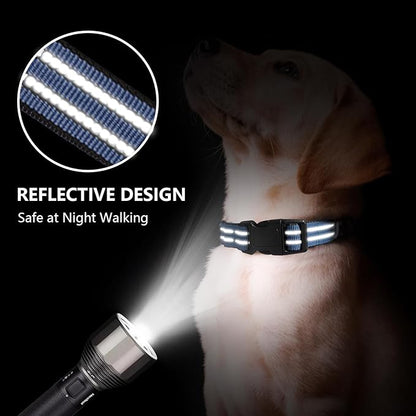 Martingale Dog Collar, Adjustable Nylon Reflective Collar with Quick Release Buckle (Grey Blue, Medium)