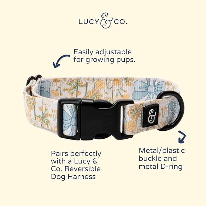 Lucy & Co. Sunshine and Daffodils Dog Collar, Adjustable Durable Dog Collar with Cute Print, Medium