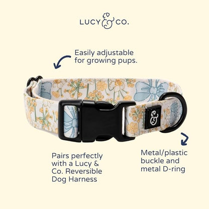 Lucy & Co. Sunshine and Daffodils Dog Collar, Adjustable Durable Dog Collar with Cute Print, Medium