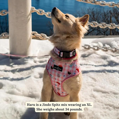 Lucy & Co. Sipping Slowly Reversible Dog Harness, Adjustable Comfort Fit with Dual Leash Attachments, X-Large
