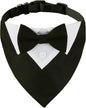 ADOGGYGO Formal Dog Tuxedo, Wedding Dog Collar with Bow Tie, Adjustable Pet Wedding Collar Bandana for Small Medium Large Dogs (Small, Black)