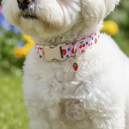 Pink Dog Collar, Female Dog Collar for Large Dogs with Strawberry, Cherry and Blueberry Print, Spring Summer Collar Made of Durable Soft Fabric, L