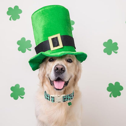 St Patricks Day Dog Collar for Small Dogs - Green Lucky Shamrock Boy Dog Collars, Irish Clover Pattern Black Male Puppy Collar with Quick Release Buckle XS