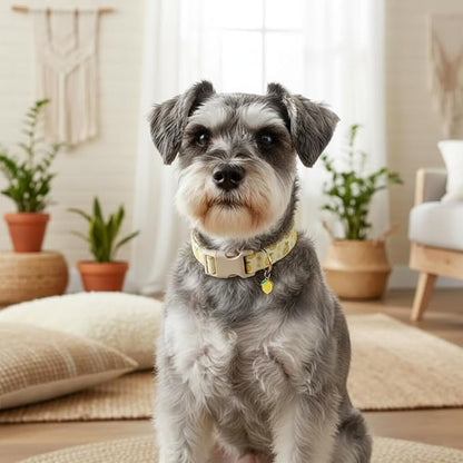 Dog Collar, Spring Summer Dog Collar with Yellow Lemon and Cute Charm, Pet Collar with Quick Release Buckle and Durable Fabric, Suitable for Small Dogs