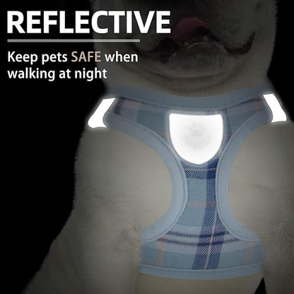 PUPTECK Adjustable Dog Harness Collar and Leash Set Step in No Pull Pet Harness for Small Medium Dogs Puppy and Cats Outdoor Walking Running, Soft Mesh Padded Reflective Vest Harnesses, Blue M