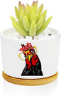 Window Garden Rooster Planter Pots,Rooster Gifts for Women/Men/Housewarming/Wedding/Festival Birthday Gifts Planter Pots,Outdoors/Indoors,Window Decor,Garden Decor,Yard Decor,Home Decor,Office