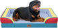 Comfort Expression Orthopedic Dog Bed for Extra Large Dogs 45x35 Inch, Waterproof Egg Crate Foam XL Pet Bed with Removable Bolsters, Dog Couch with Washable Cover & Non-Slip Bottom, Funfetti Fiesta