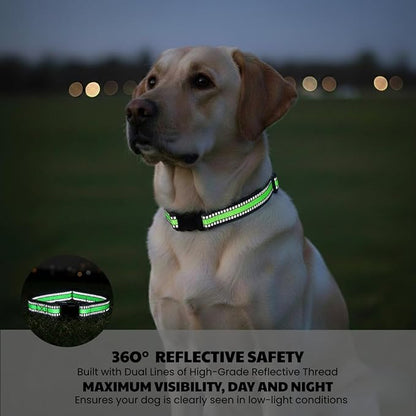 Dog Training Collar Replacement and Shock Collar Strap - 3/4 Inch Wide Adjustable Nylon Band with Reflective Replacement Strap for E Collar and Bark Collar (Green)