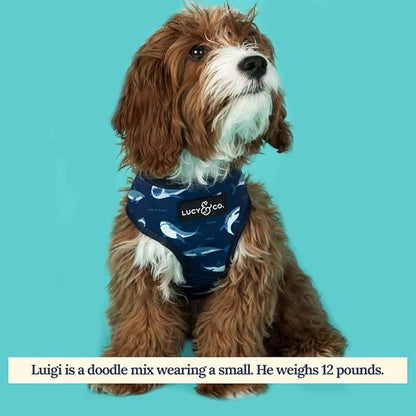 Lucy & Co. Reversible Dog Harness Walking Halter - Harnesses for Small Medium Large XL Dogs - Padded Adjustable - for German Shepherd Pug French Bulldog English Bulldog