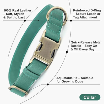 Plutus Pet Genuine Leather Dog Collar – Adjustable Pet Collar with Quick Release Metal Buckle, Soft Real Leather for Small Medium Large Dogs, Heavy Duty & Skin-Friendly (Green, M)