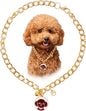 HOWWFALY Dog Collar and Cat Chain Necklace Stainless Steel Adjustable 18K Gold Heart-Shaped Necklace for Small Pets Cats Kitten Puppy (Gold, 9.85)