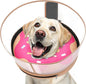 Inflatable Dog Cone with Transparent Shield, Protective Dog Donut Collar After Surgery to Stop Licking, Soft Donut Cone for Large Pets, Adjustable Recovery Collar with Buckle Visibility