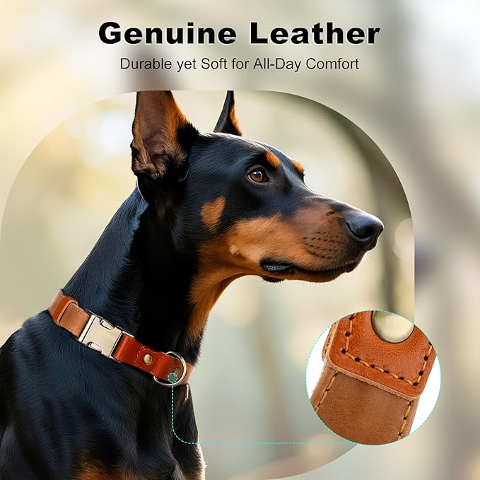 Plutus Pet Genuine Leather & Hemp Dog Collar – Adjustable Heavy Duty Pet Collar with Quick Release Metal Buckle, Soft & Stylish for Puppy and Small, Medium, Large Dogs (Light Brown, M)