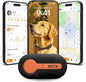 ROTX Dog GPS Tracker Real-time Tracker Alerts Virtual Fence Location Dog Cat Collar Attachment of Random Color Subscription Required for Pet Over 11.06lbs Waterproof IP67 Health & Wellness Black